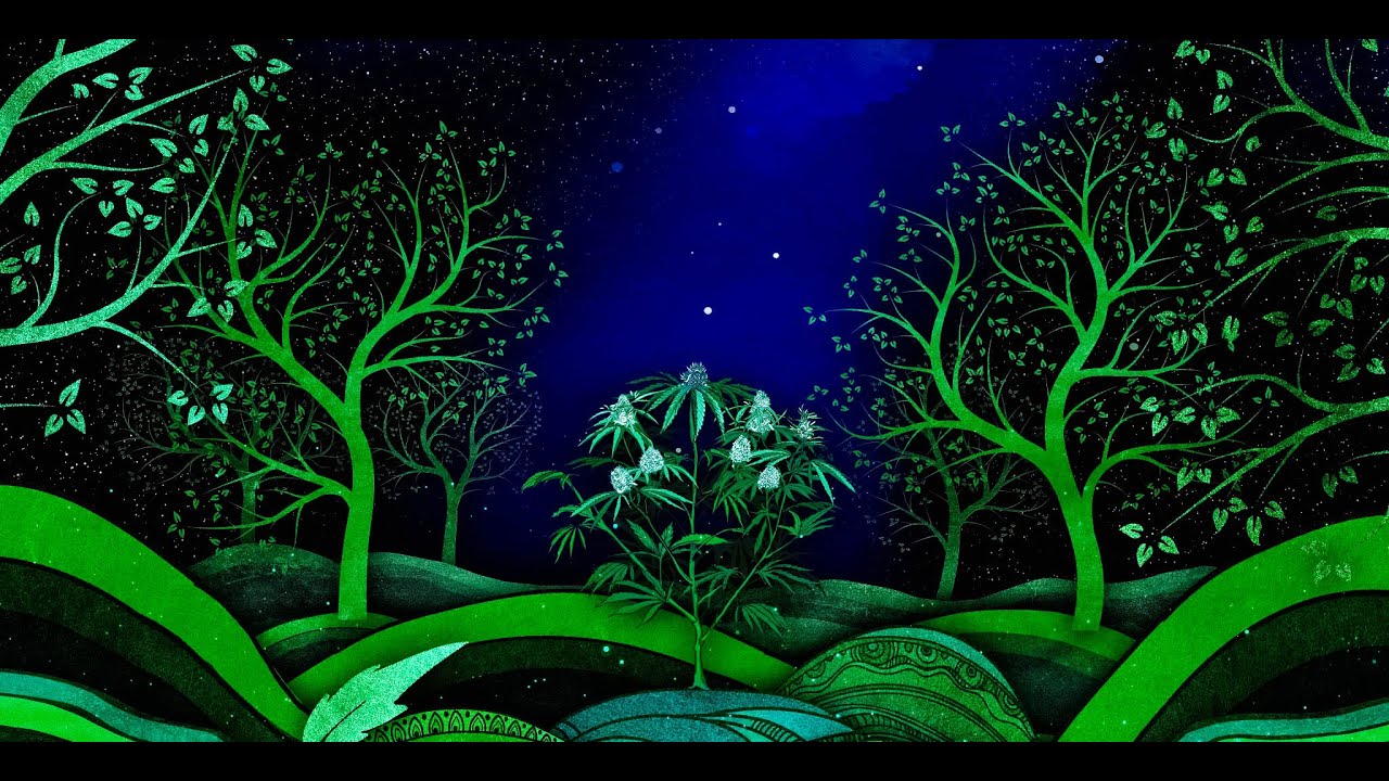 CBD Nation: Patent 6630507