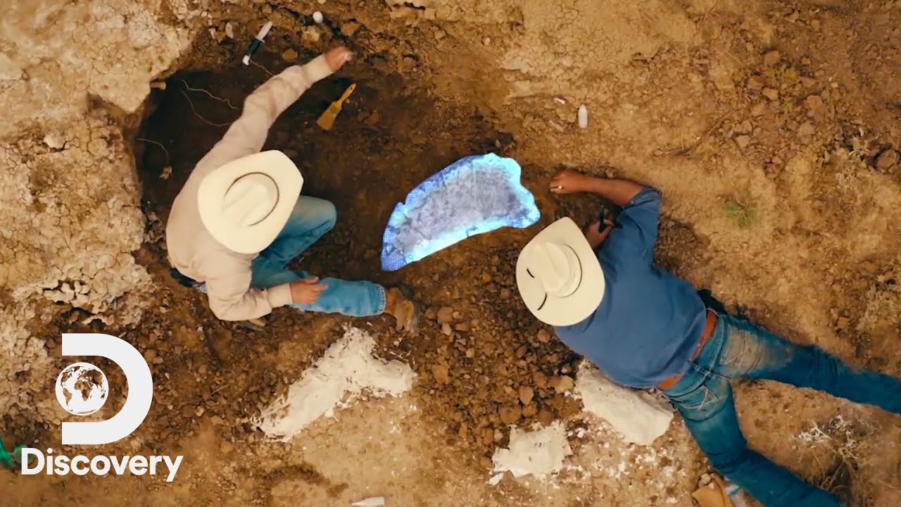 The Cowboys Hunting for Dinosaur Fossils | Dino Hunters