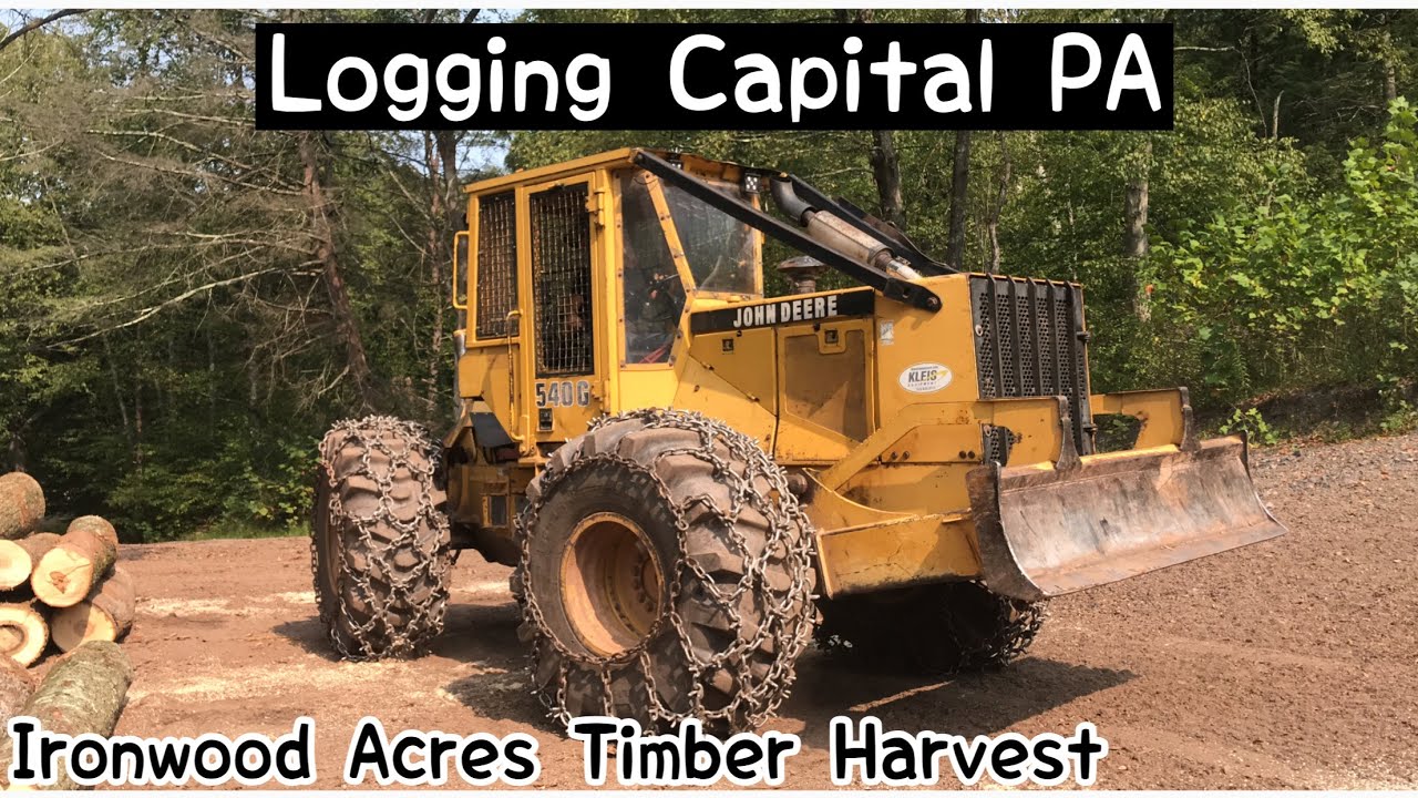 One Man Logging Operation
