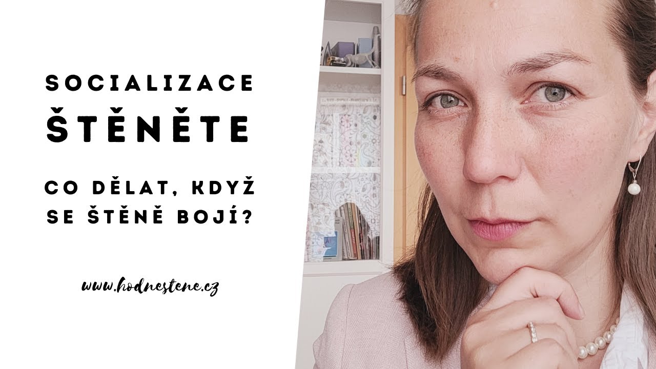 Socializace : Co dělat, když se štěně bojí?