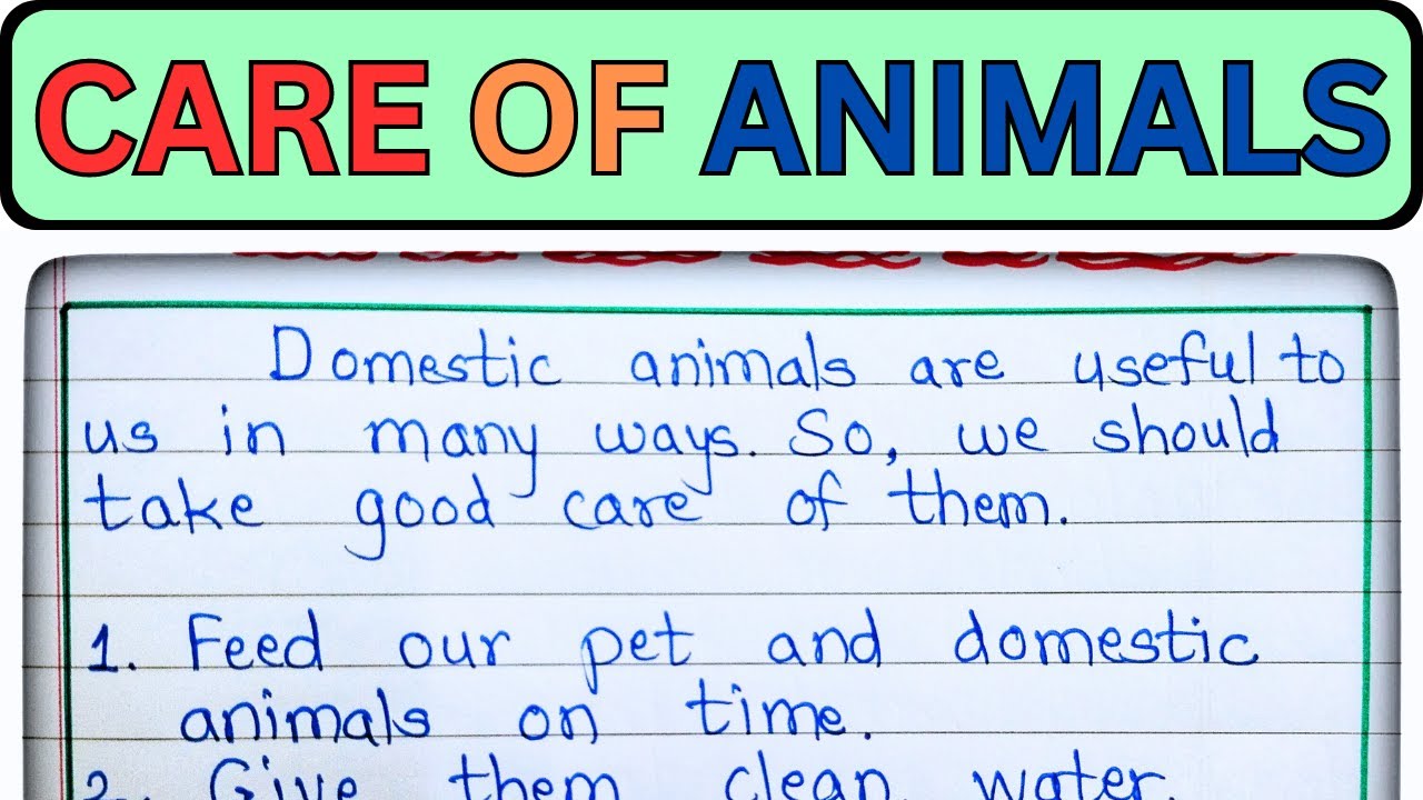 How to Take Care of Animals