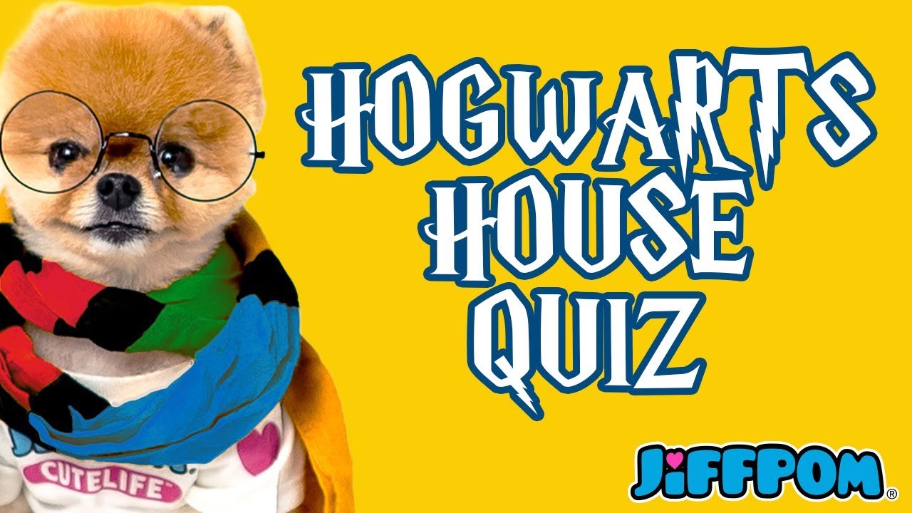 Which Hogwarts House Does Jiffpom Belong In?