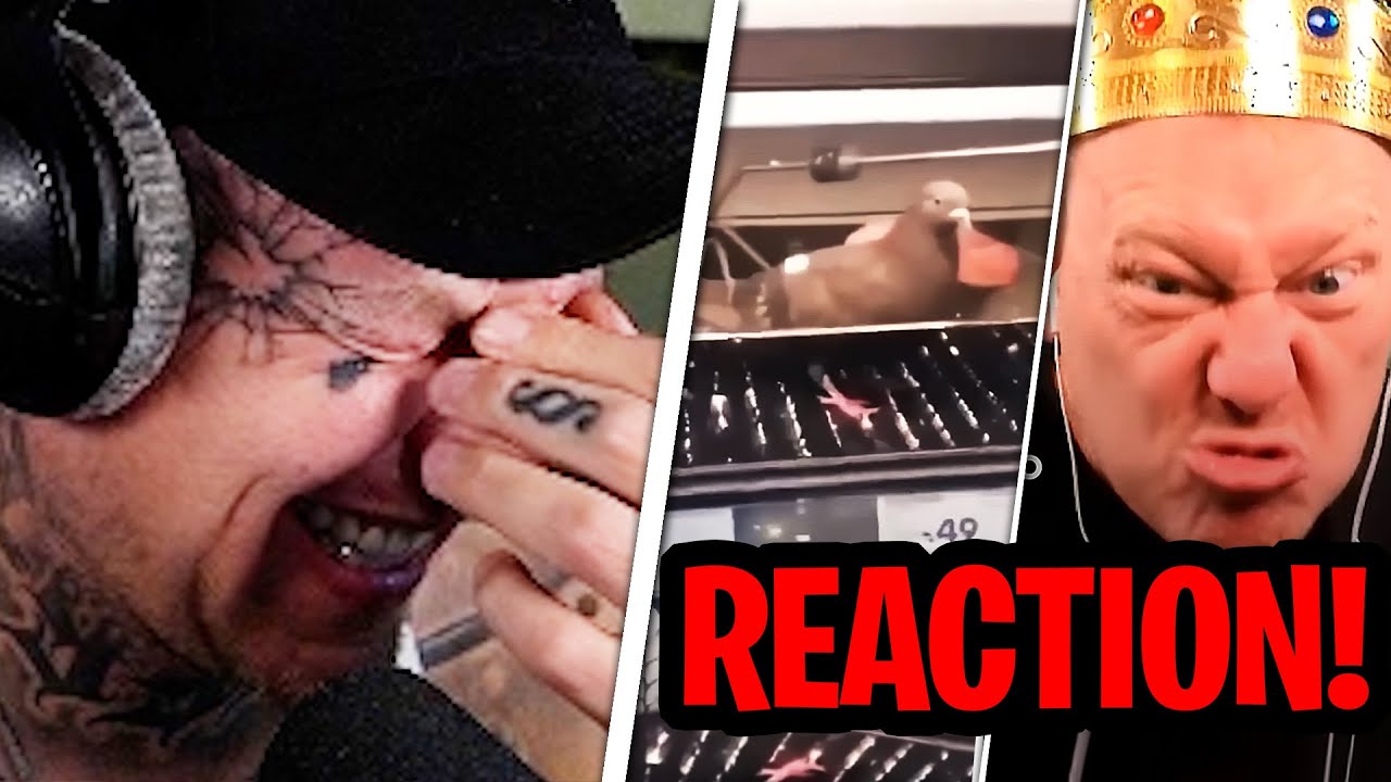 Nur Liebe für Tauben😂❤ REAKTION auf Satter Hugo - machst du Sport | MontanaBlack Reaktion