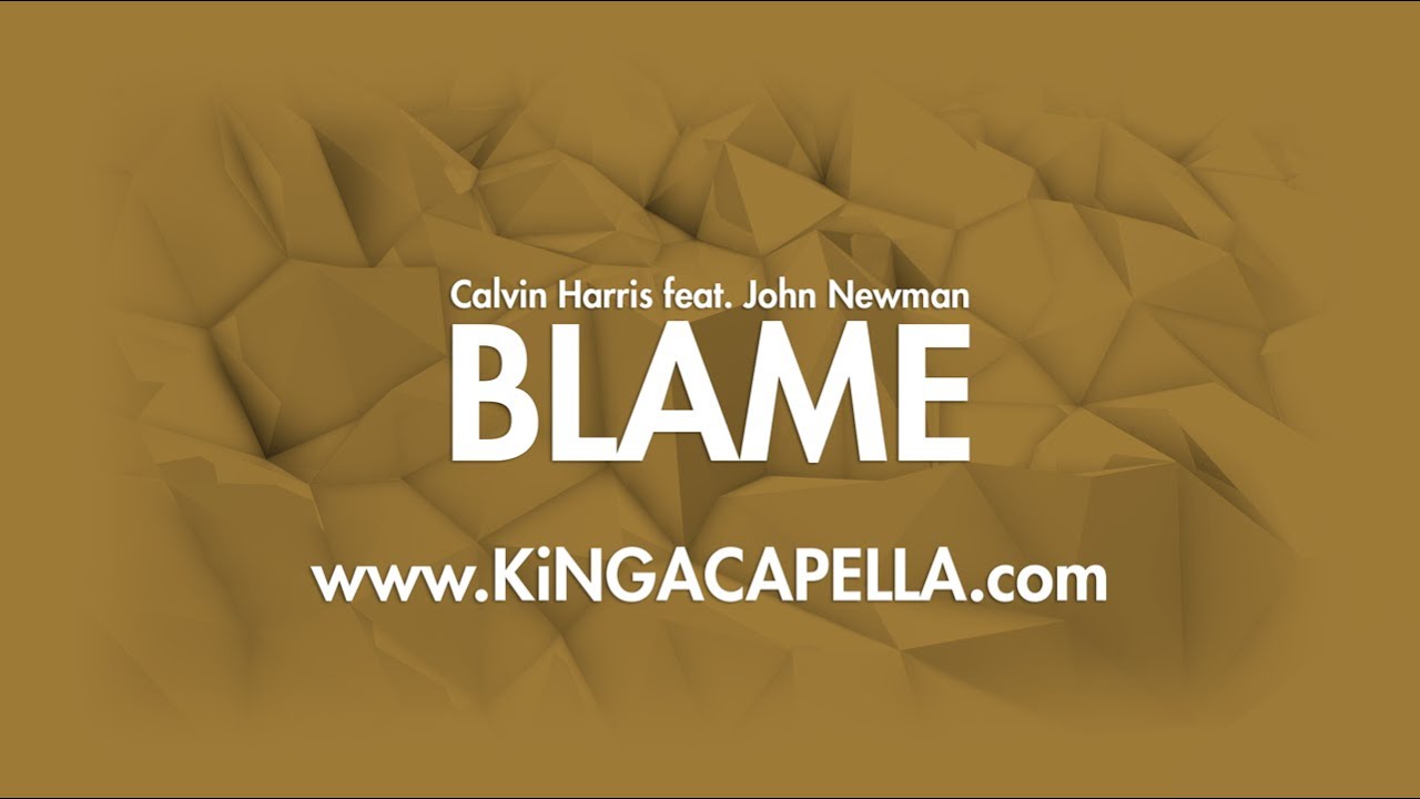Calvin Harris, John Newman - Blame (Studio Acapella)