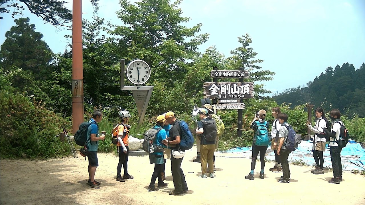 金剛山 のライブ配信