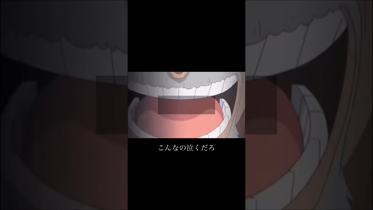 ワンピース感動するシーン