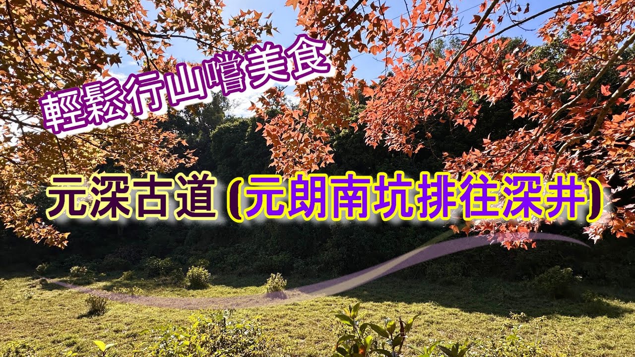 【元深古道】🏞 元朗南坑排往深井 - 賞紅葉🍂, 輕鬆行山, 嚐美食😋