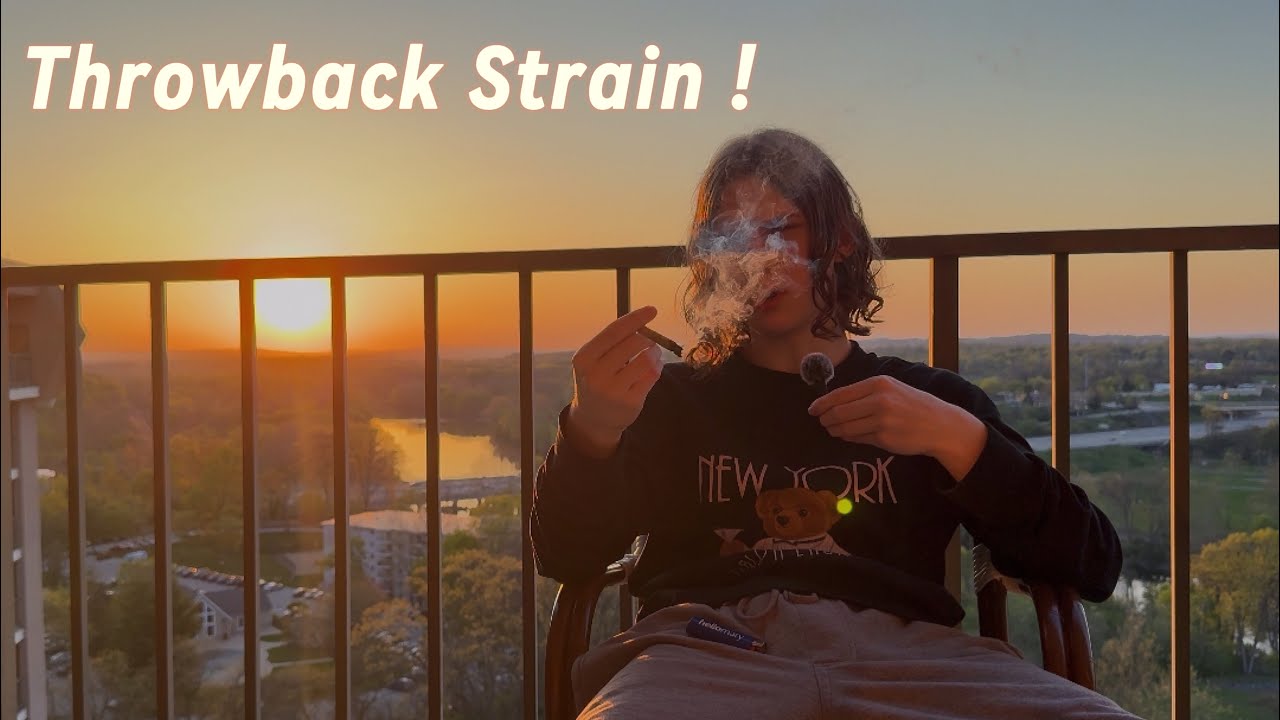 ShopHelloMary Jack Herer Sesh & Yap|Is This $60 thca Half ounce ZaZa ?