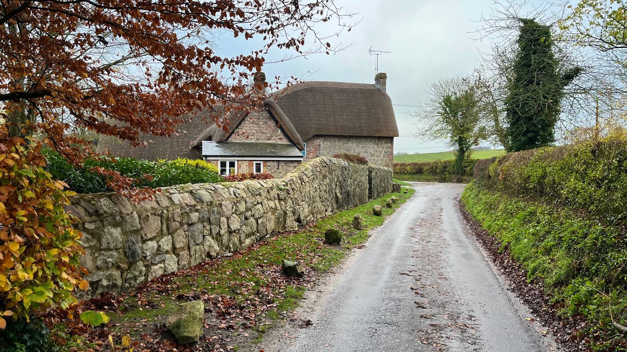 Is this the last of Autumn? | Quiet English Countryside Walk with Horses