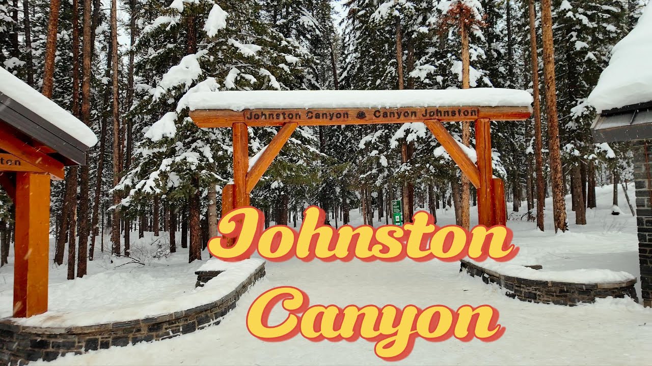Relaxing piano on morning drive to Johnston Canyon 🌅  🎹🌨️