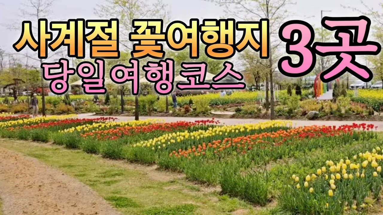 펑택 아산 꽃축제 3곳과 유명한 카폐 1곳 베스트 추천여행지 당일여행 가능한곳