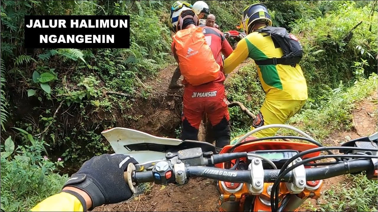 Halimun Part 2