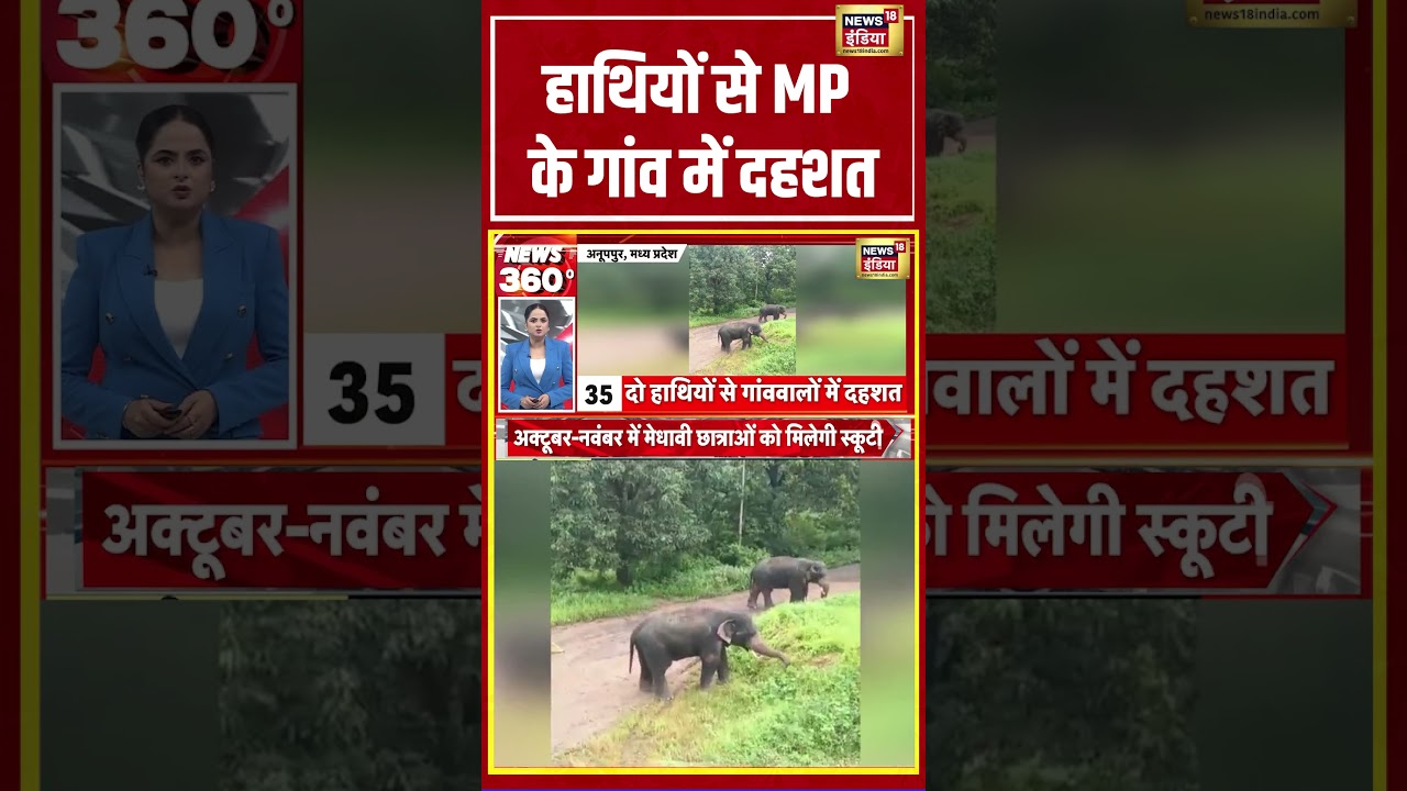 Viral Video: हाथियों से MP के गांव में दहशत #madhyapradesh #viralshorts #viralnews