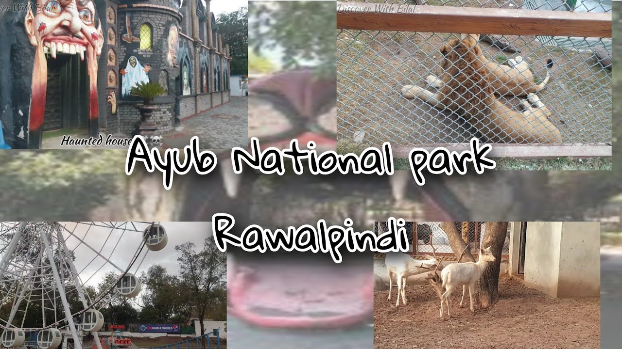 Exploring Ayub National Park Rawalpindi |Zoo|loin|Hunted House ☠☠