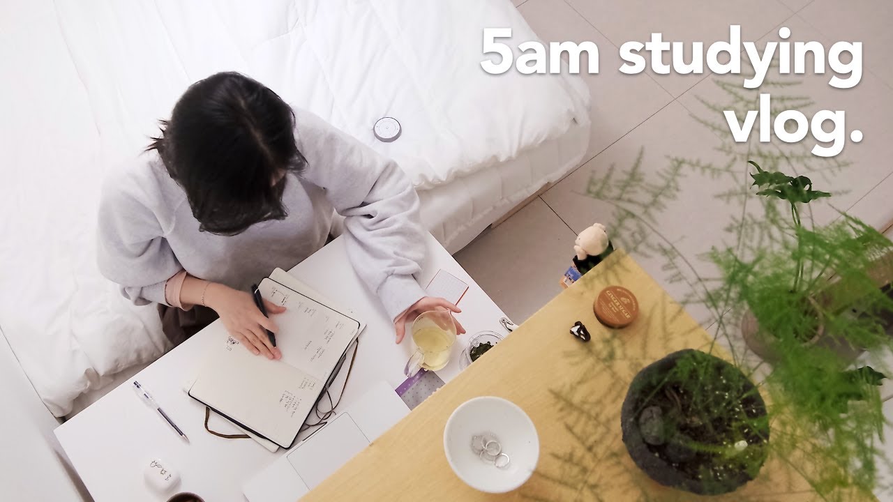 sub. 새벽 4:50 기상｜운동·이직 공부로 채운 직장인의 일상, 꾸준한 루틴에 진심인 사람