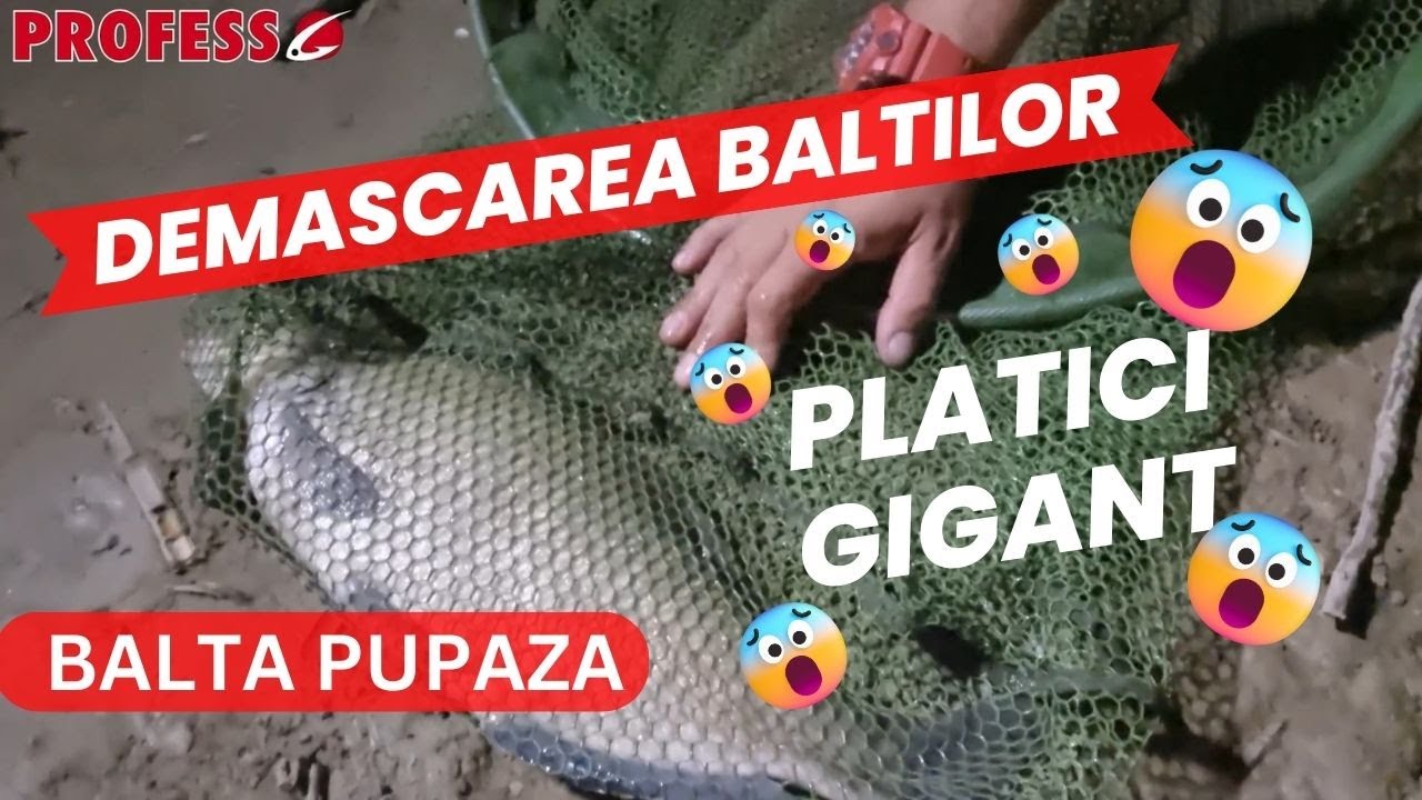 Demascarea Baltilor Ep.14 x BALTA PUPAZA x PLATICI GIGANTE PESCUIT LA FEEDER NADA PROFESS