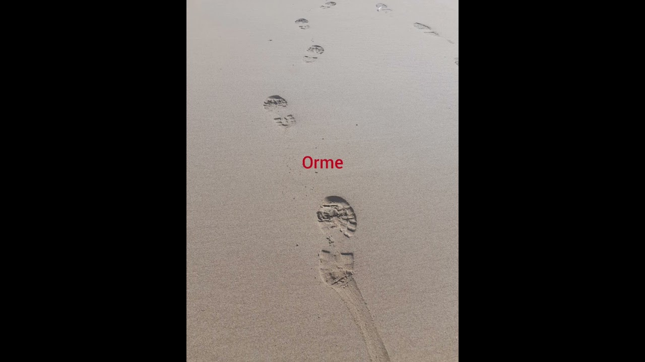 Orme