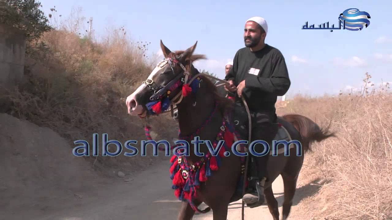 خيالة بني معروف 2015 مسيرة شفاعمرو - عسفيا