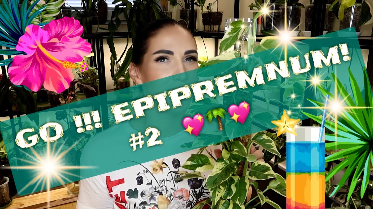 GO!!! EPIPREMNUM ! #2 ... aktualizacja pędzących epi po pół roku 💖🌴💖