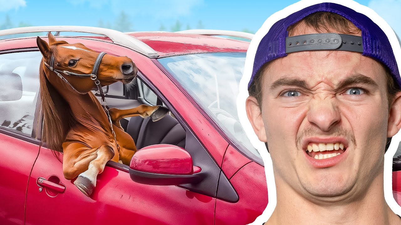 Shocking Things People Saw While Driving