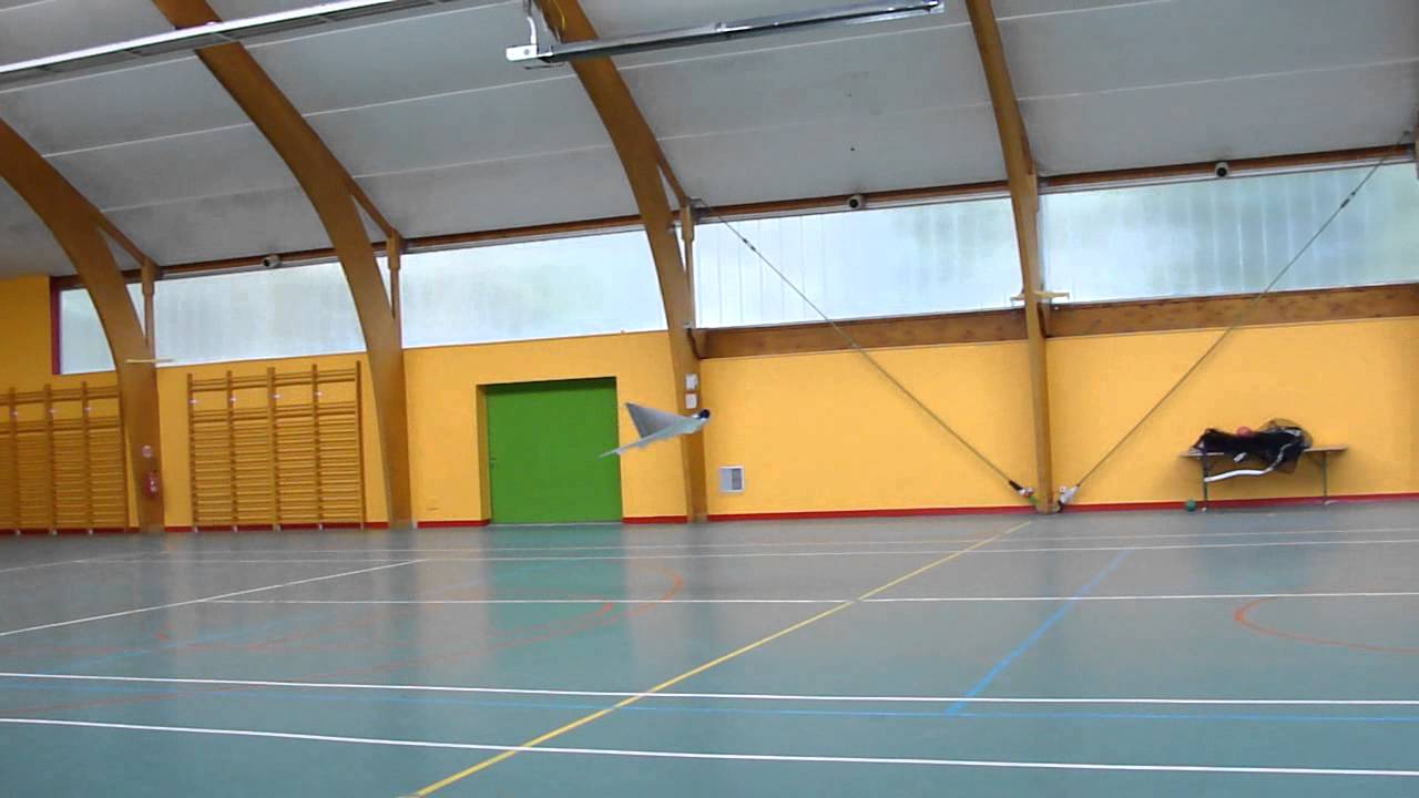 Lippisch P13 indoor rc