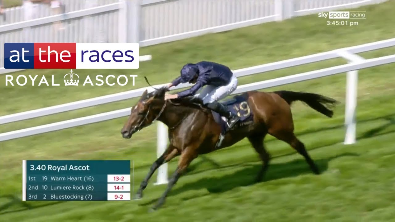 Al Asifah BOMBS OUT! WARM HEART impresses in the Ribblesdale for Ryan Moore and Aidan O'Brien!