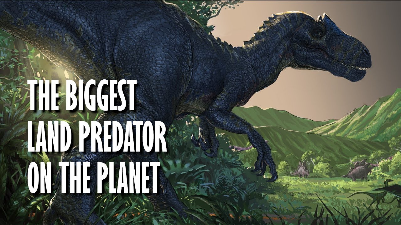 Saurophaganax | The Jurassic's biggest predator
