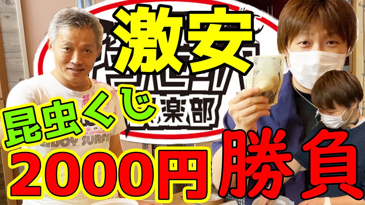 【半額！】になった昆虫くじを引いてみた結果…店長がおかしくなってしまった…　クワガタムシ　カブトムシ　オオクワガタ