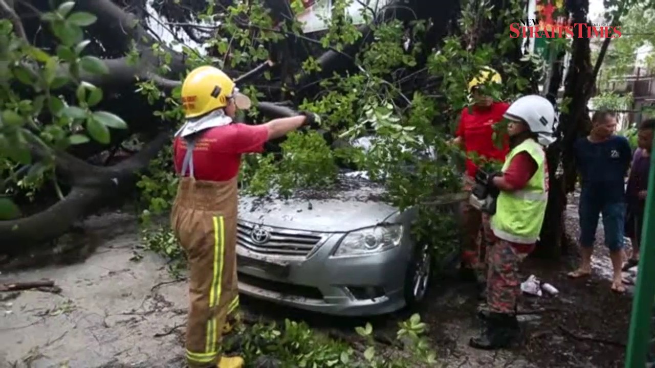 Ipoh rainstorm leaves trail of destruction