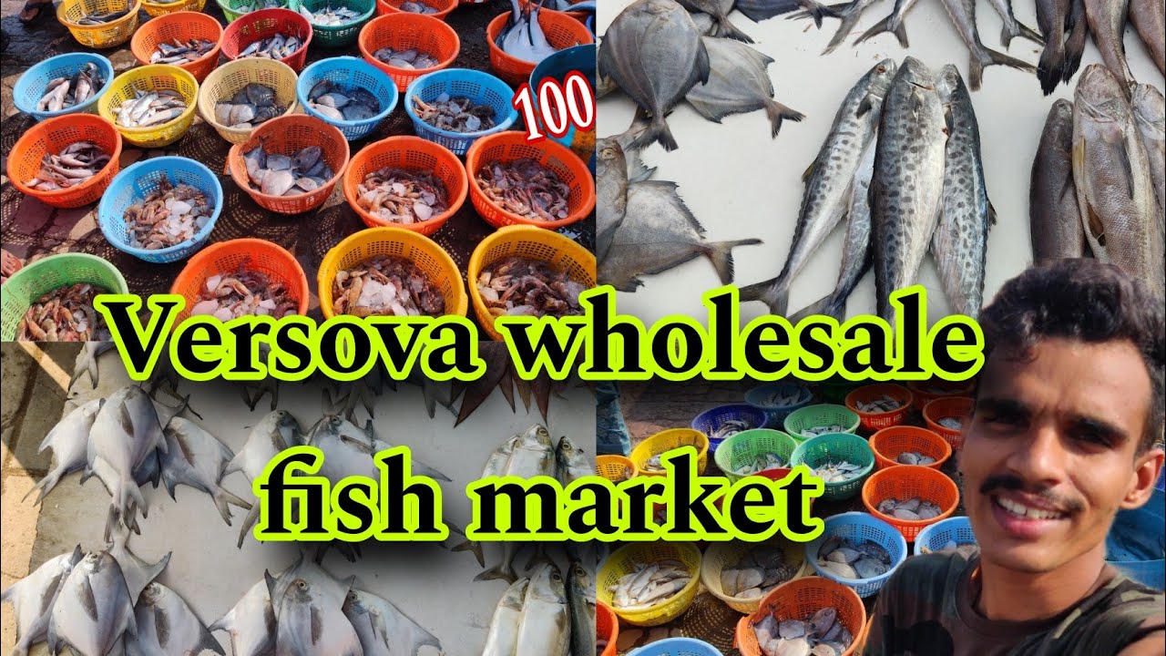 Оптовый рыбный рынок Версова | Оптовый рыбный рынок Версова