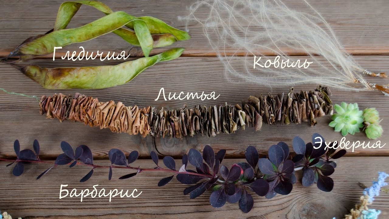 Флористика/ Закон Сохранения Энергии / Аксессуар /Флористика 2020