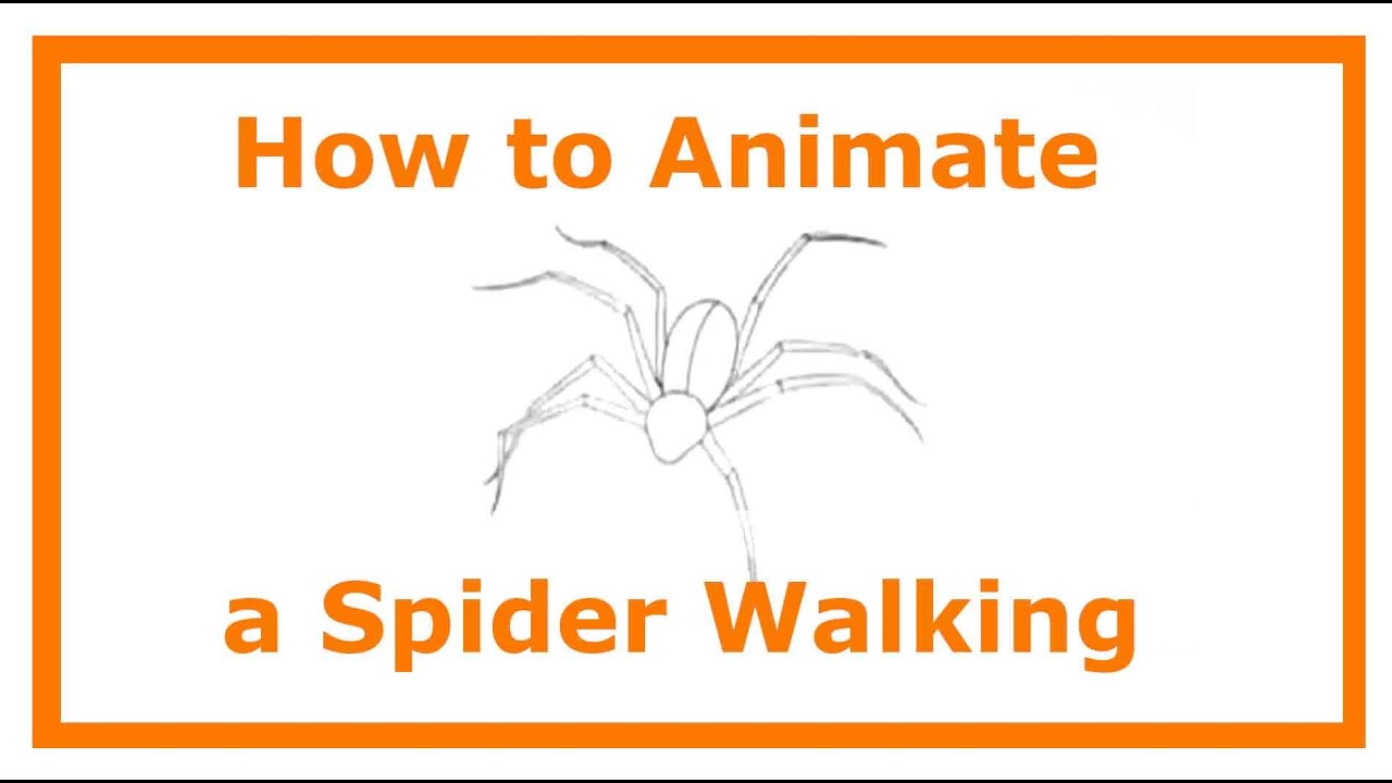 How To Animate a Spider Walking