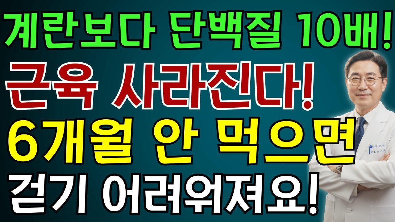 계란보다 단백질이 10배나 강한 음식 | 노인 건강 | 의사가 말하는 영양