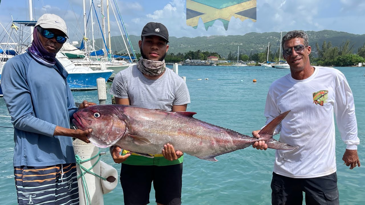 We Caught A Monster AmberJack 61lb With A Subscriber | Catch Clean Cook 🔥
