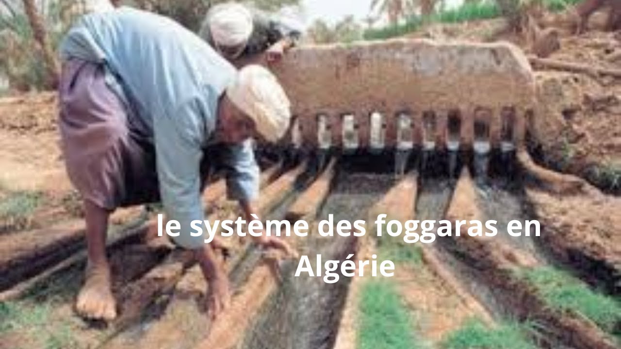le système des foggaras en Algérie