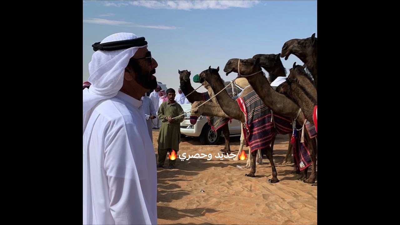 ⚡️جديد وحصري ⚡️شله ساري بن بلوش المزروعي