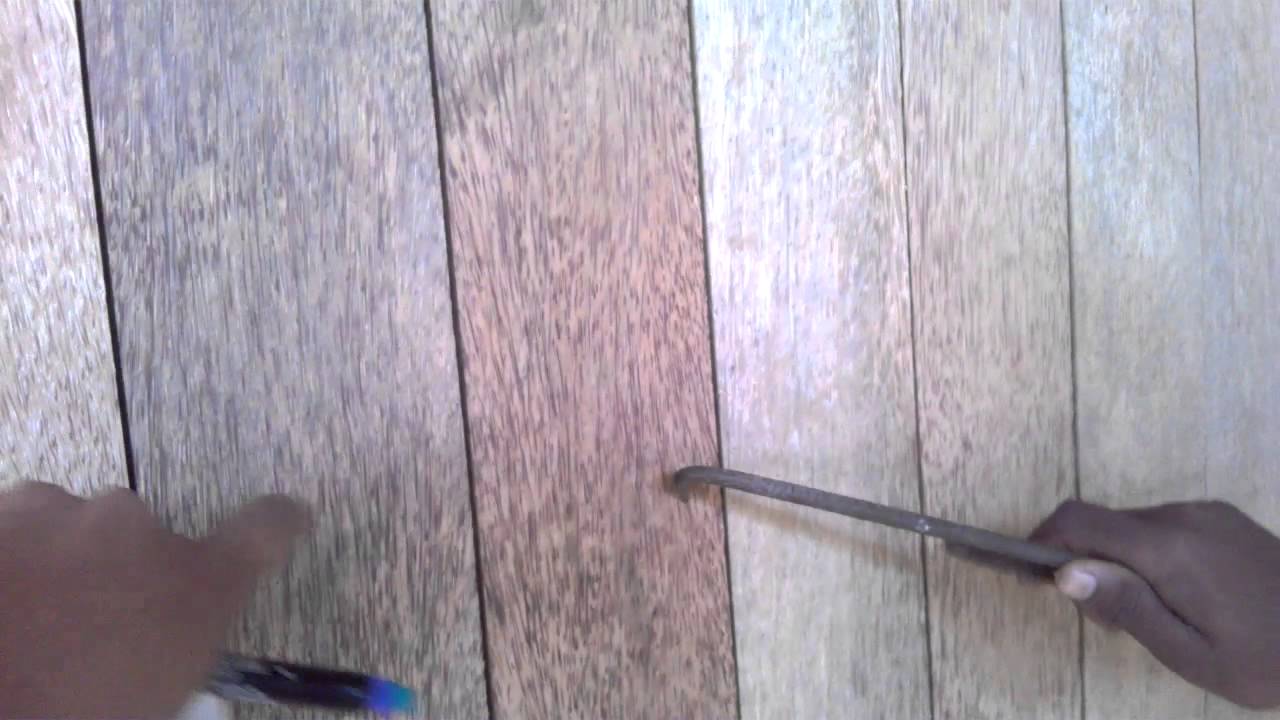 Assessment of Bad Coconut wood - 8
