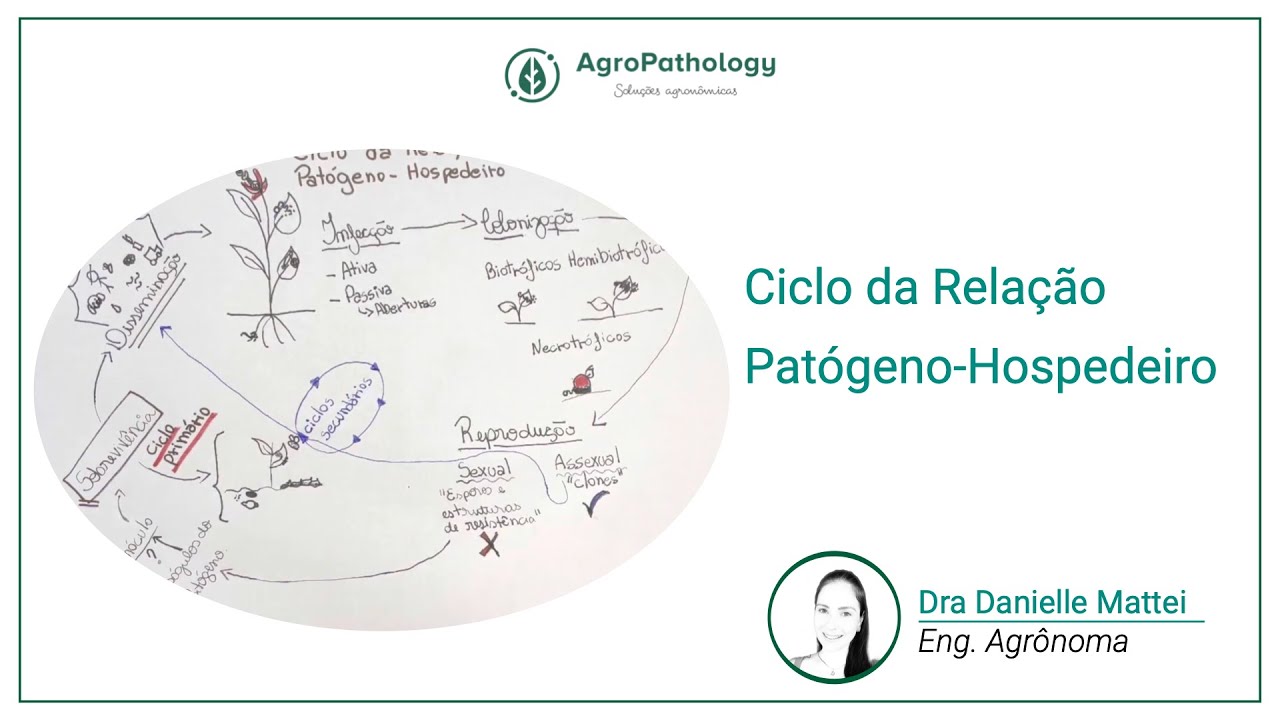 Conheça o ciclo da relação entre planta hospedeira e os patógenos