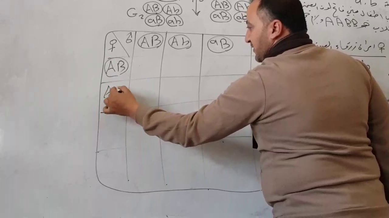 المحاضرة الثانية عشر الوراثة الكميه.. الوان العيون في الإنسان..ا.علاء عوينات