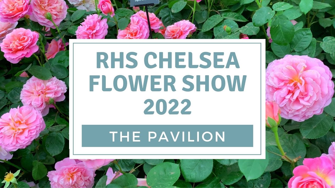 RHS Chelsea Flower Show 2022 The Pavilion Exhibition Displays