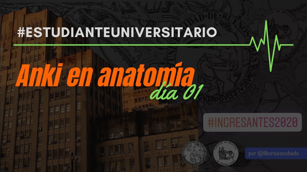 Anki en anatom&iacute;a - D&iacute;a 1 - Imagenes generalidades