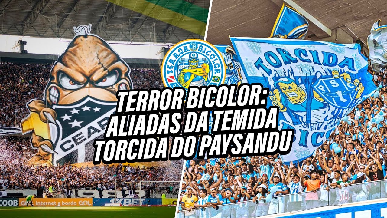 TERROR BICOLOR DO PAYSANDU: ALIADAS E CURIOSIDADES