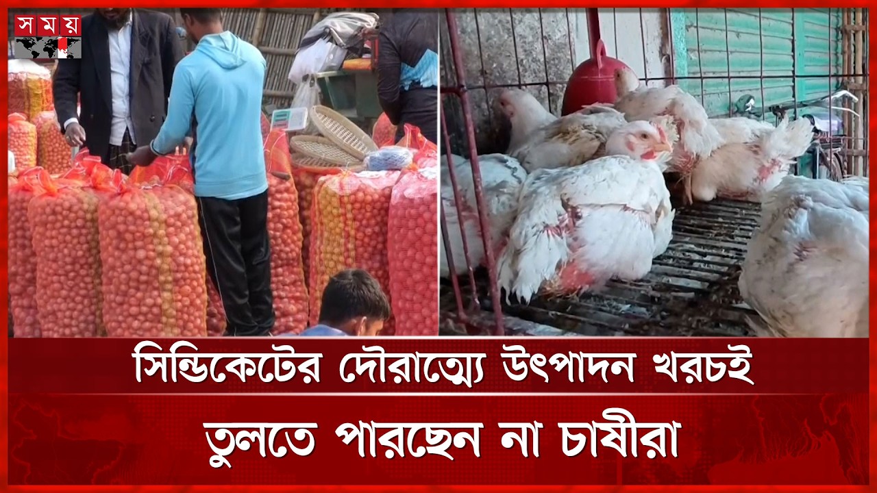 আলুর সরবরাহ বেড়েছে, কিন্তু ক্ষতিতে কৃষক | Potato price | Market Update | Farmer Crisis | Somoy TV