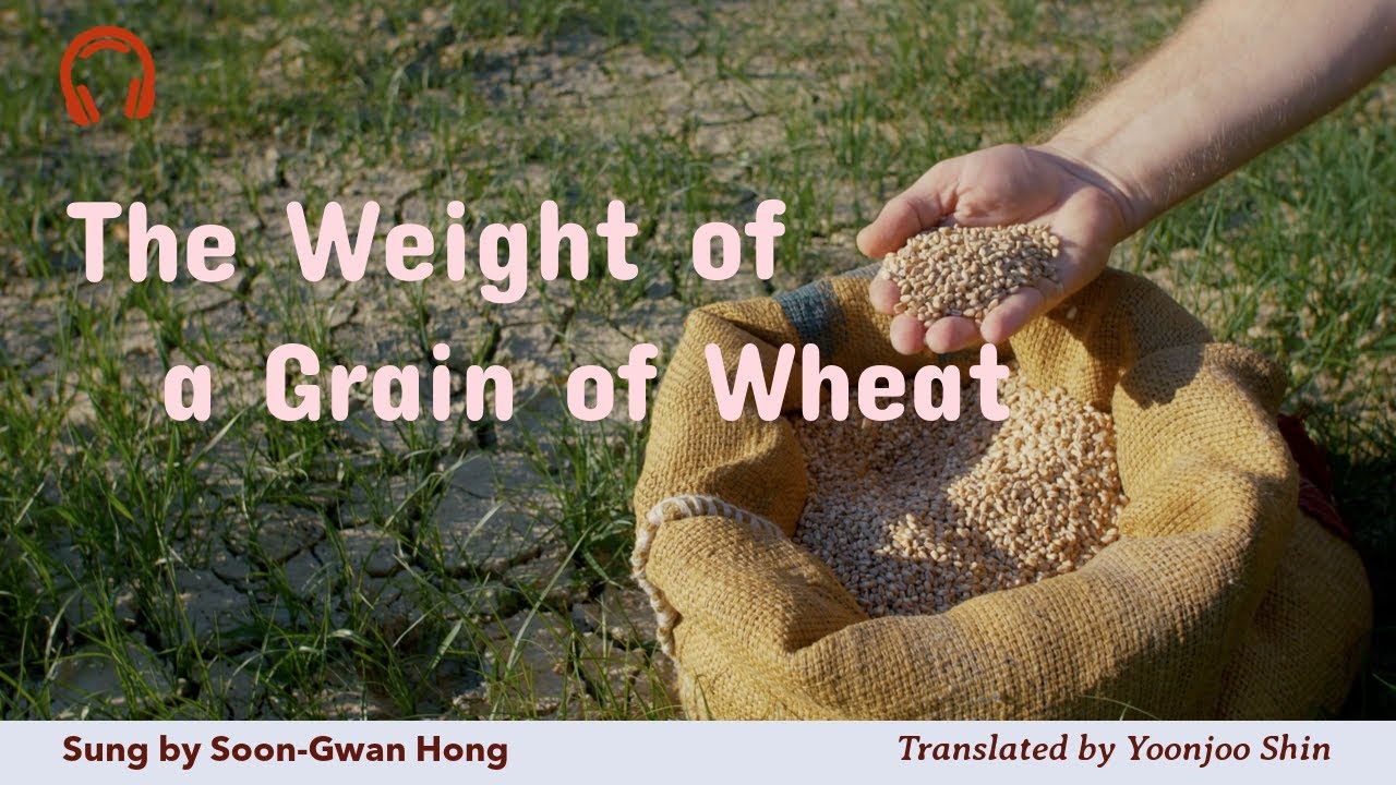 The Weight of a Grain of Wheat | Sung by Soon-Gwan Hong, Translated by Yoonjoo Shin | 쌀 한 톨의 무게.