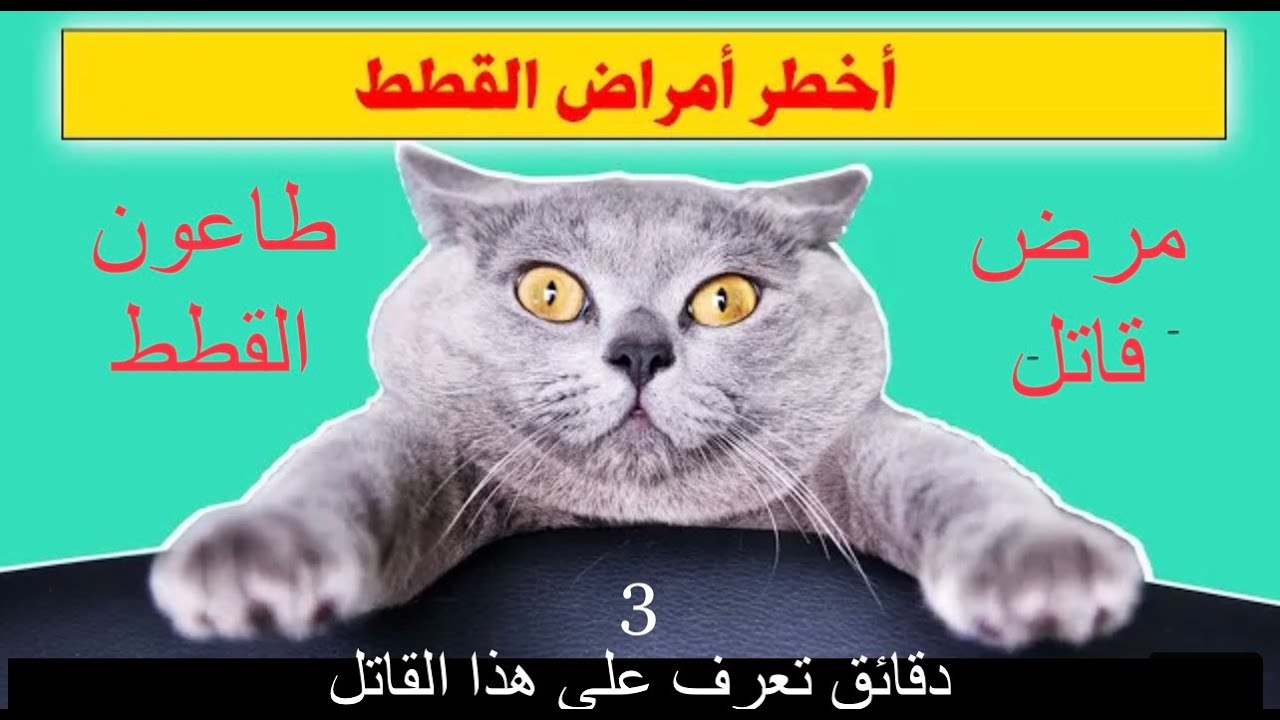 طاعون القطط  Feline panleukopenia virus