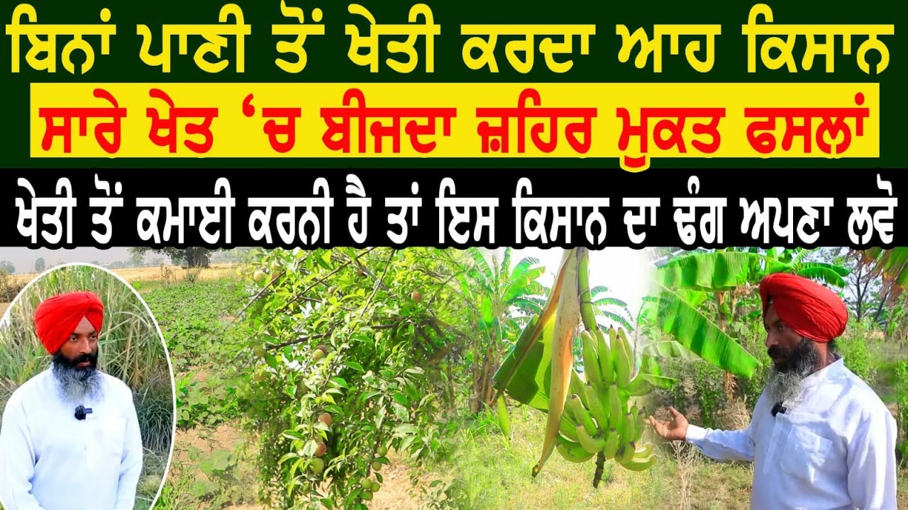 ਬਿਨਾਂ ਪਾਣੀ ਤੋਂ ਖੇਤੀ ਕਰਦਾ ਆਹ ਕਿਸਾਨ। ਸਾਰੇ ਖੇਤ ਚ ਬੀਜਦਾ ਜ਼ਹਿਰ ਮੁਕਤ ਫਸਲਾਂ