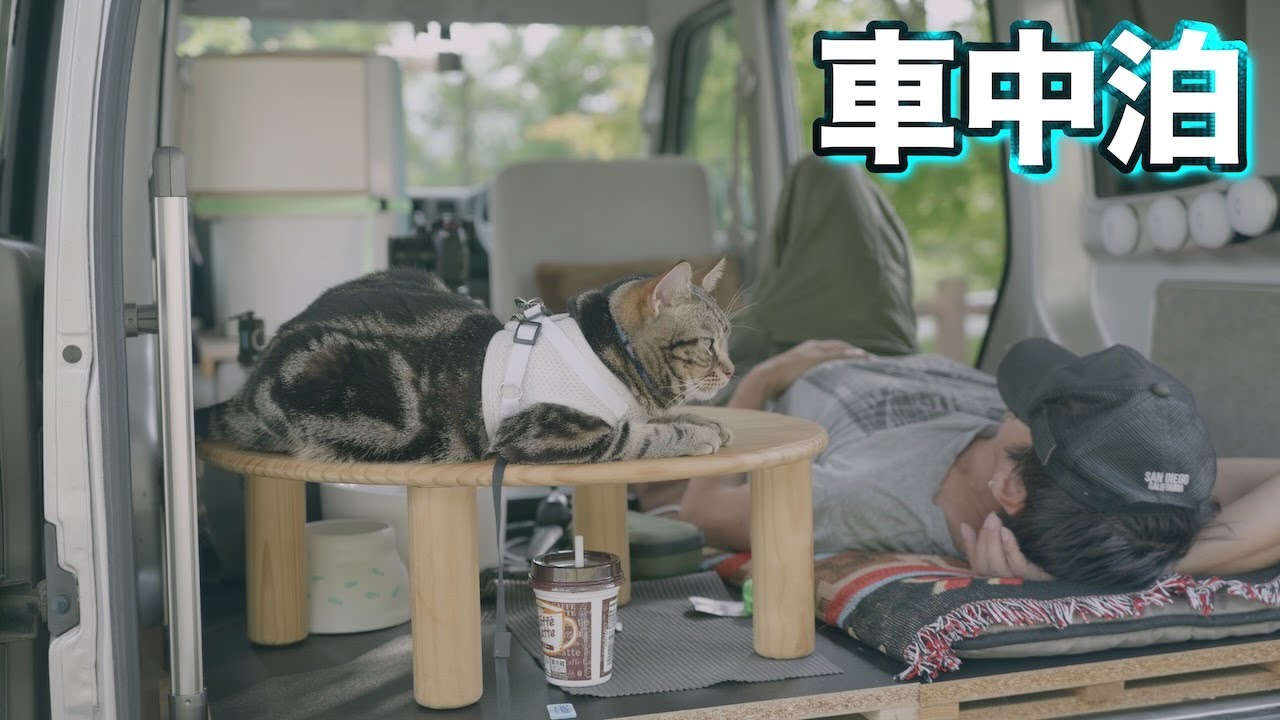 【車中泊】エブリイを作りながらも猫と車中泊を楽しむ