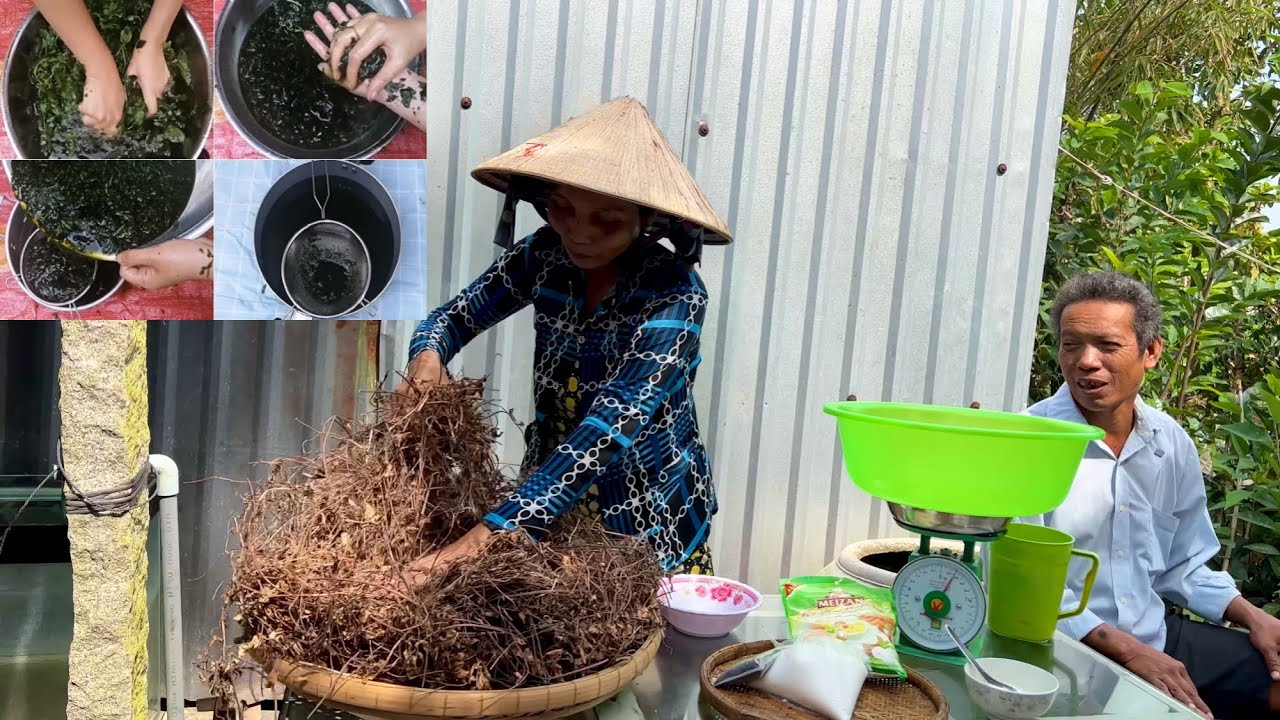 Sương Sáo -  Cách Nấu Sương Sáo Truyền Thống Ngày Xưa Cực Ngon - KBMQ T43