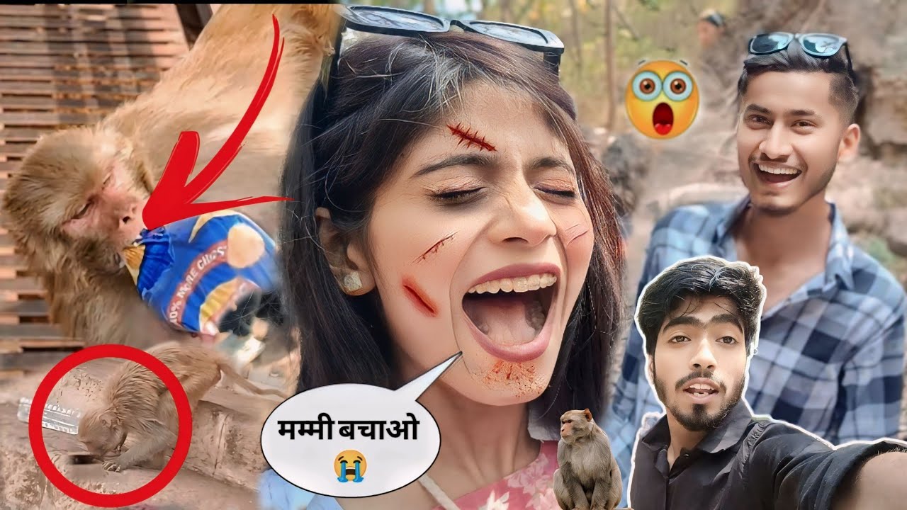 @Its___Priya  ki hui ladayi Bandar se 🐒 wait for end 🤣