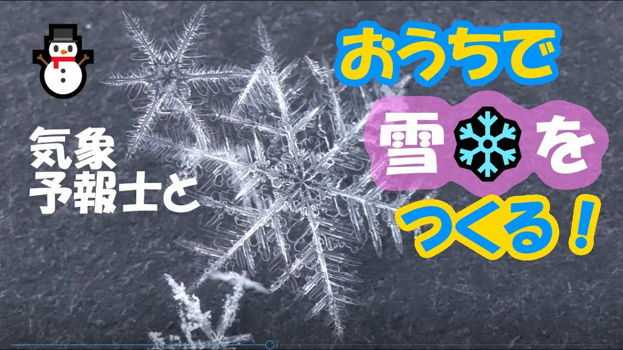 2025サイエンスパーク「雪の結晶の成長を見てみよう」